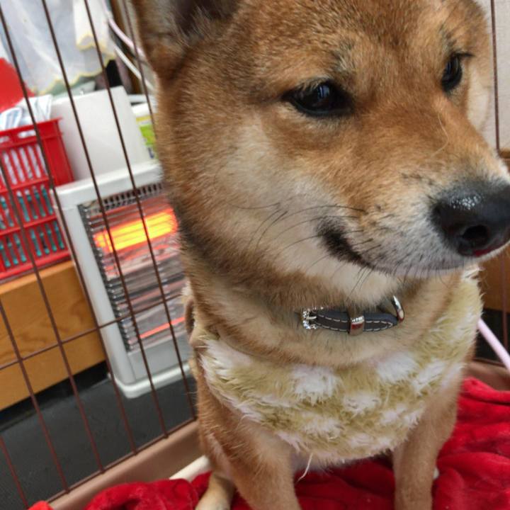 5abbc6e7 e30a 4e8a ac97 bf25d7b404a7 1517456689553