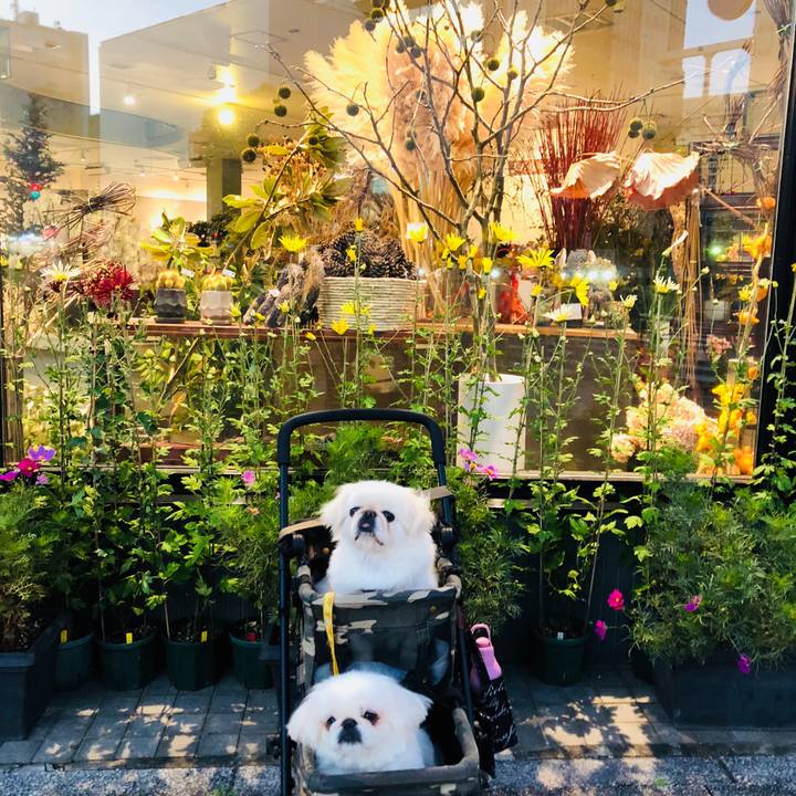 5abbe651 b624 4580 bc92 19cf0499d3d9 1608907003357