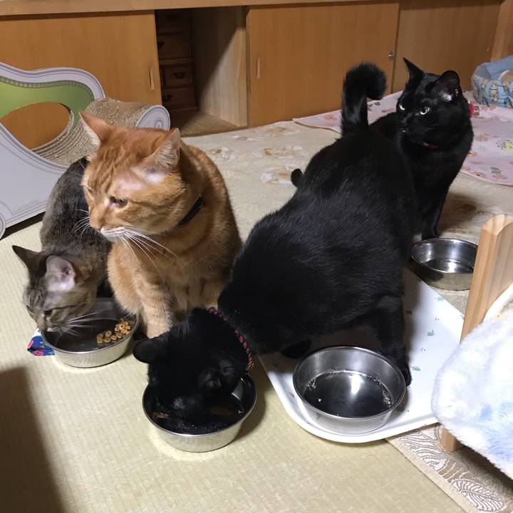 5abbe901 fc5e 417e 9168 33b644c5b46b 1549717535079