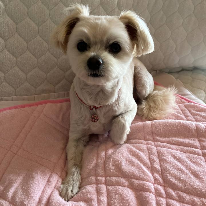 5abc11cc 7d3c 4b8b 871c 59adb9f85620 1654664851705