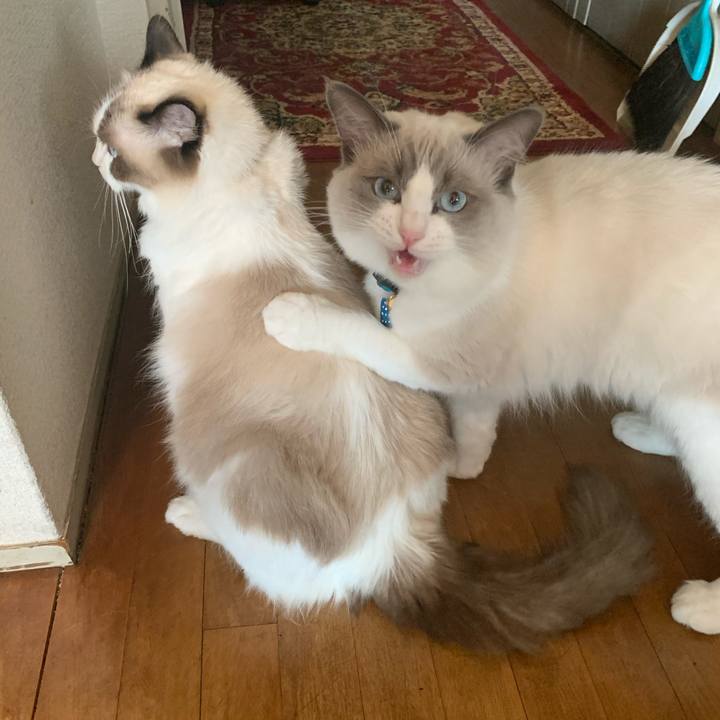 5abc5aa2 73aa 47b9 b7e0 48c412be4bf5 1637281475366