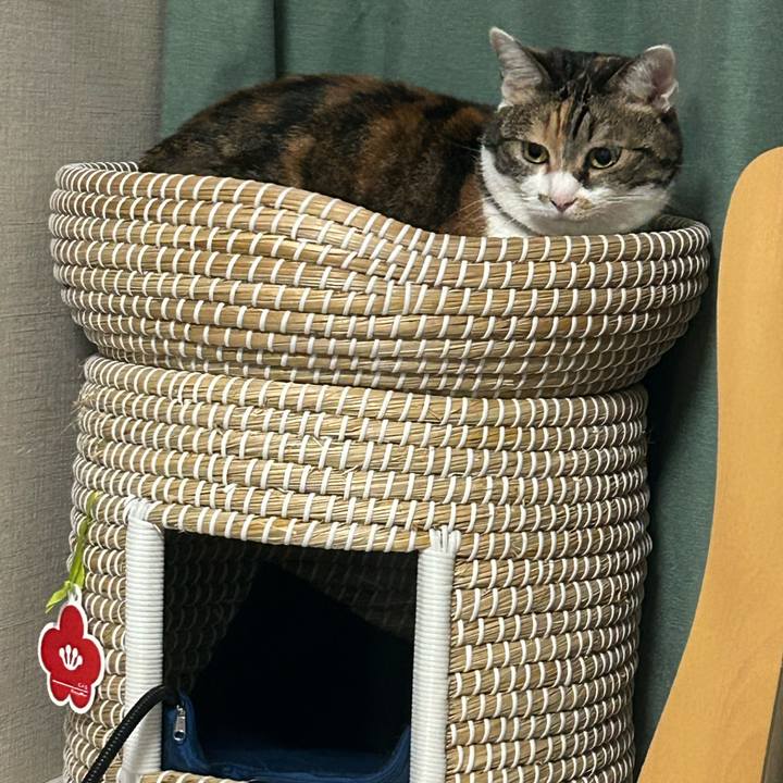 5abc7084 5214 4d36 aacb 577e59b787f2 1761828571199