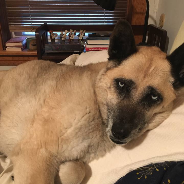 5abc753b 051e 41f5 bbc4 b516f8a42d73 1524788963399