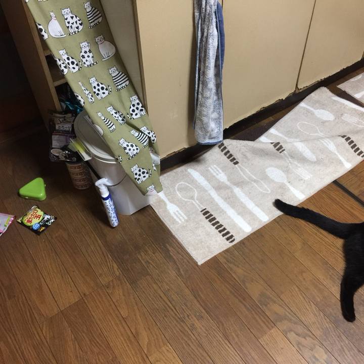 5abc825d a489 4ae6 93fd 60ad227b83f0 1533917687426