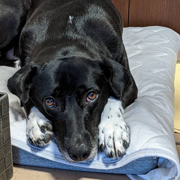 5abca01c 6710 4542 9d0b 5b47f3027162 1661412729185