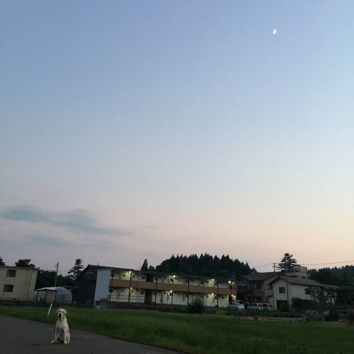 5abcbc2d c86e 4110 9313 29f52933f7d1 1531910536962