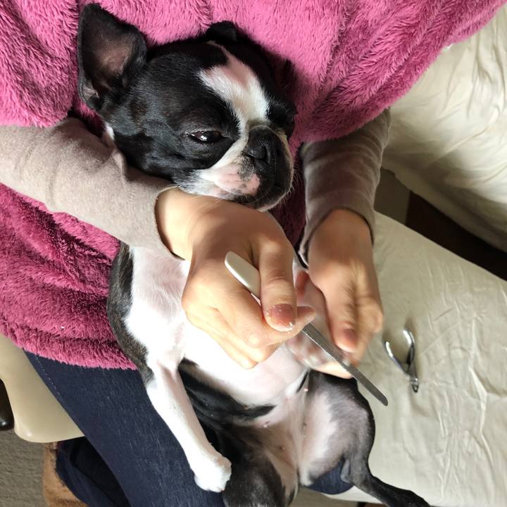 5abcc458 4e15 4842 99d0 52a2868afdf9 1619310270571