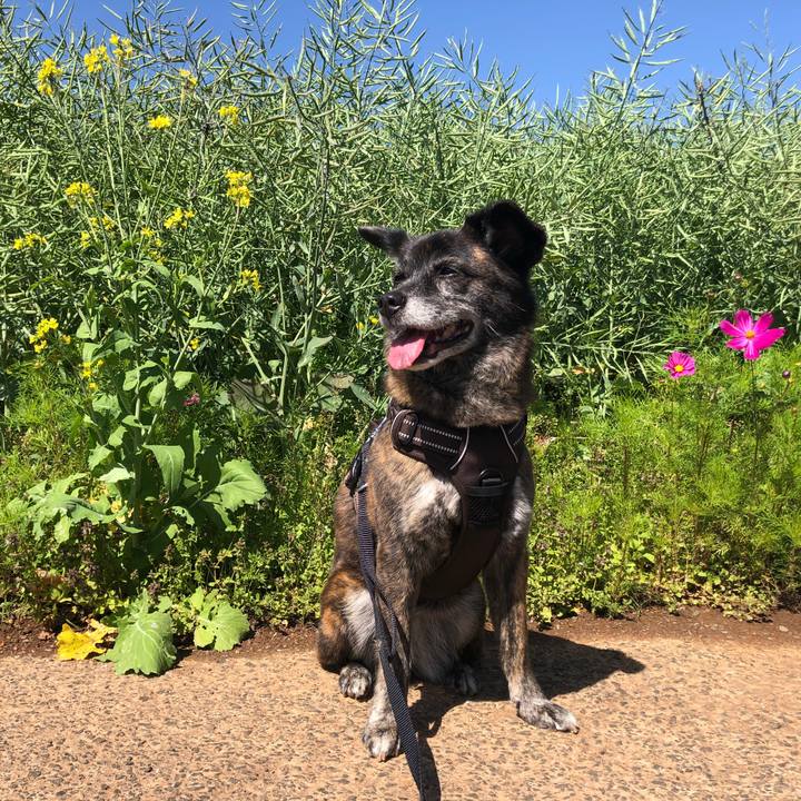 5abcce73 39a7 4e51 b250 0d371d1035cc 1620032461090