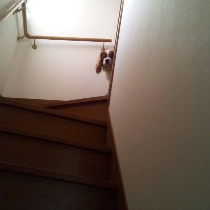 5abce5c9 50e0 4990 b784 72a3a14d291a 1546899721949