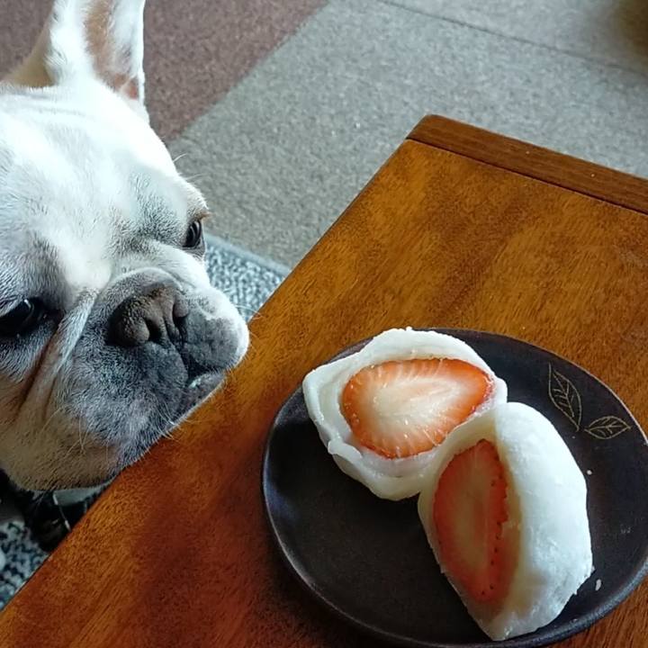 5abce71d ef10 40a2 82f0 17ffcc1c6316 1651314200693