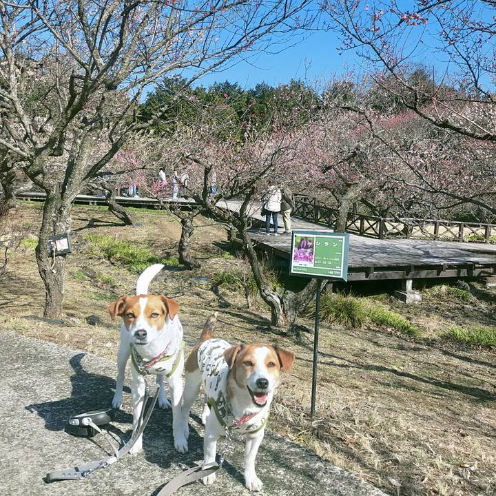 5abd4e33 e0b6 42f5 afa0 a80f5f684683 1771143368180