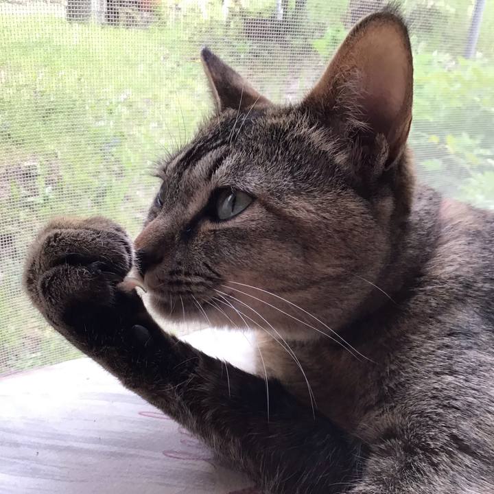 5abd7f79 aadd 4eac acd0 25546ca989e7 1586954262607