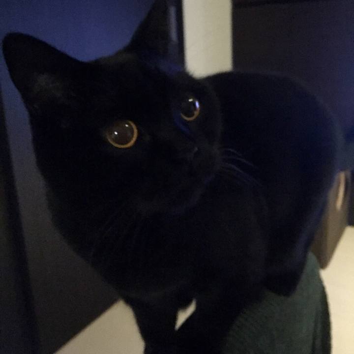 5abda323 ccb6 496e 9857 30803d441828 1549445297032