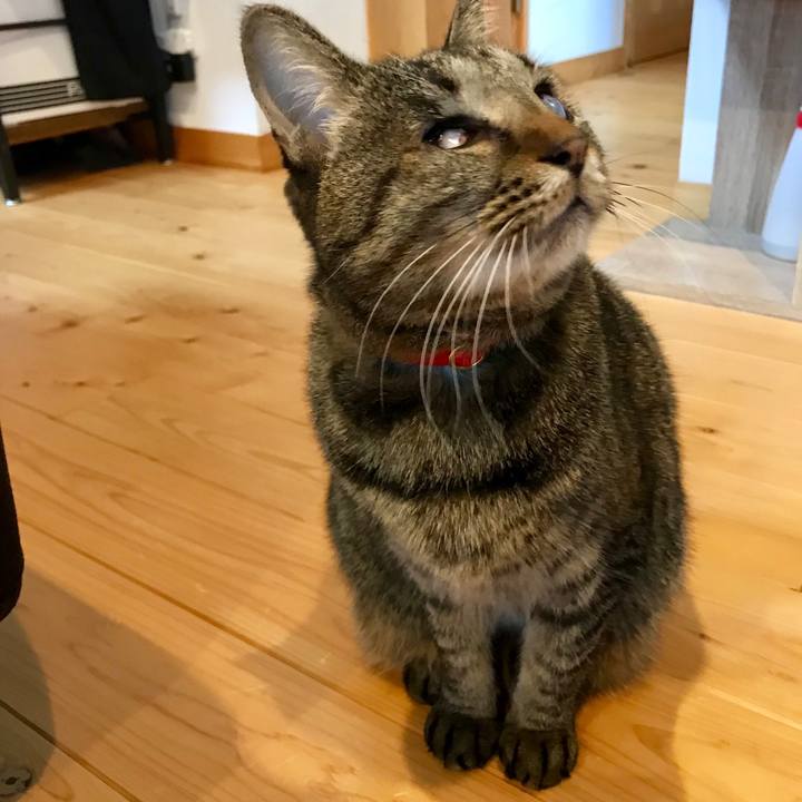 5abde500 37c2 435f 8d38 16fbbd24e70f 1546676354450