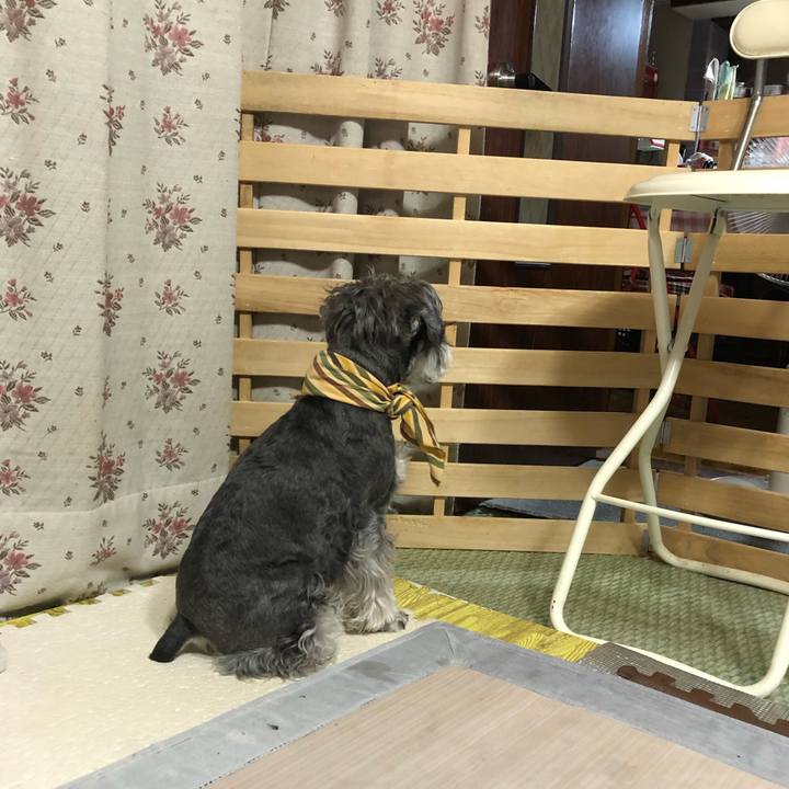 5abe2e63 c718 451c a8e4 f2829eb83356 1657799765312