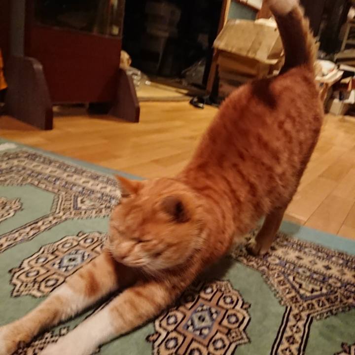 5abe6478 06e8 4db8 87a3 187098a257cb 1576746512127