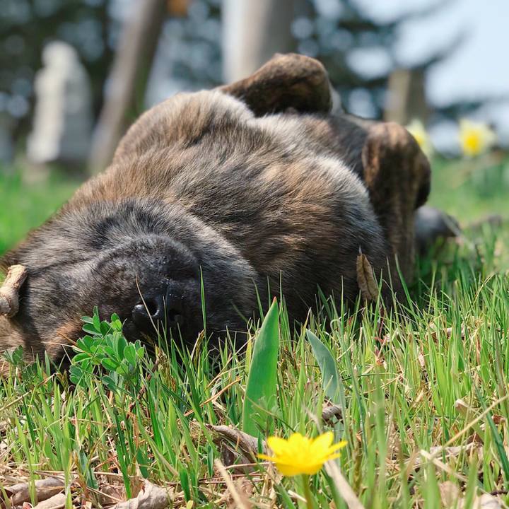 5abe893a 310a 4034 a41c 7a49222a67a9 1522643648180