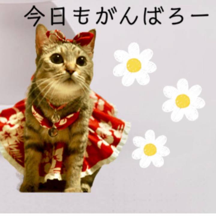 5abe8ecb 93a7 4bba bede 225f7f195f5c 1695599904623