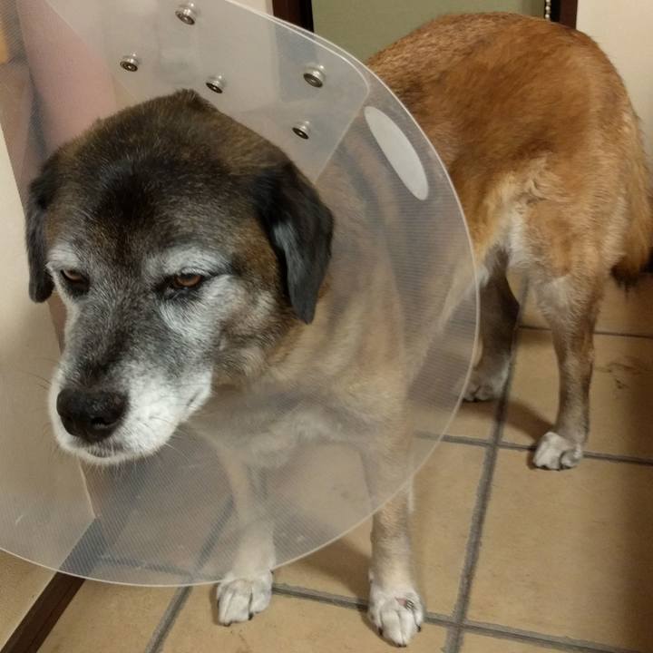 5abe92aa a234 4a1f 9e61 07512729cd65 1524529391512