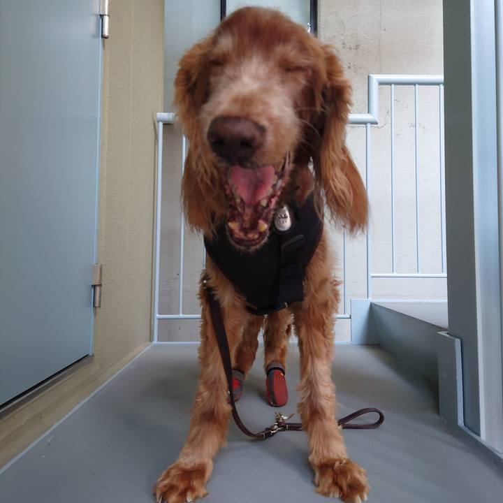 5abeebee 1c68 4dda 9e9b 6f49e8394ec0 1731560200425