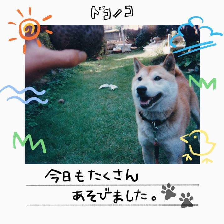 5abf2a13 261c 457e 8ddf 3cfe37d71c6b 1755158231560