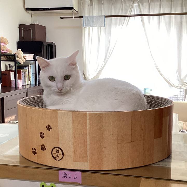 5abf3232 42f0 4ce1 a95a 5b9cd8922b62 1670640167222