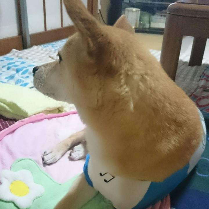 5abf4d2a 512c 42c1 89b0 e2fdd96f3da3 1530109706243