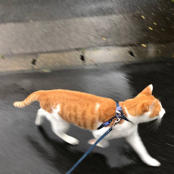 5abf8f26 e9e2 4662 ab1c c9070506e9e0 1561799652253