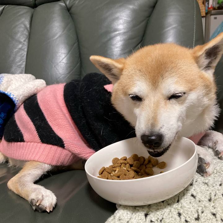 5abfeb5d 0acc 44c8 802a cf213ca8c98e 1640353293720