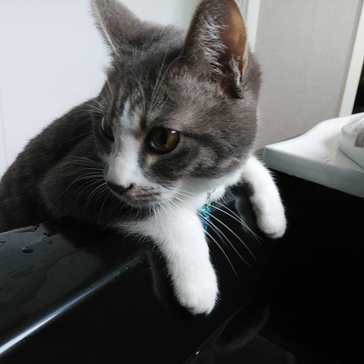 5abff577 4d9f 4d42 abff 43da22559145 1580786337860