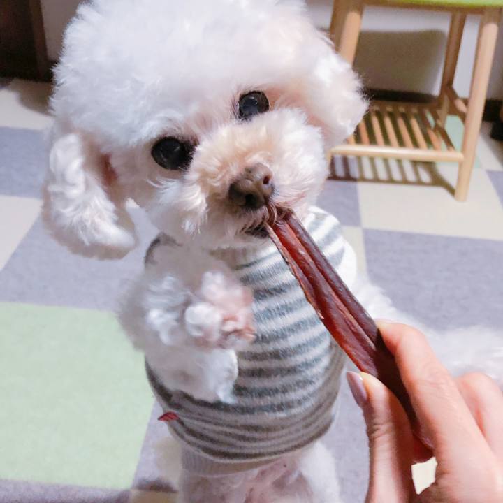 5ac00731 995c 40a8 95d7 1754af07b7ae 1547214037354