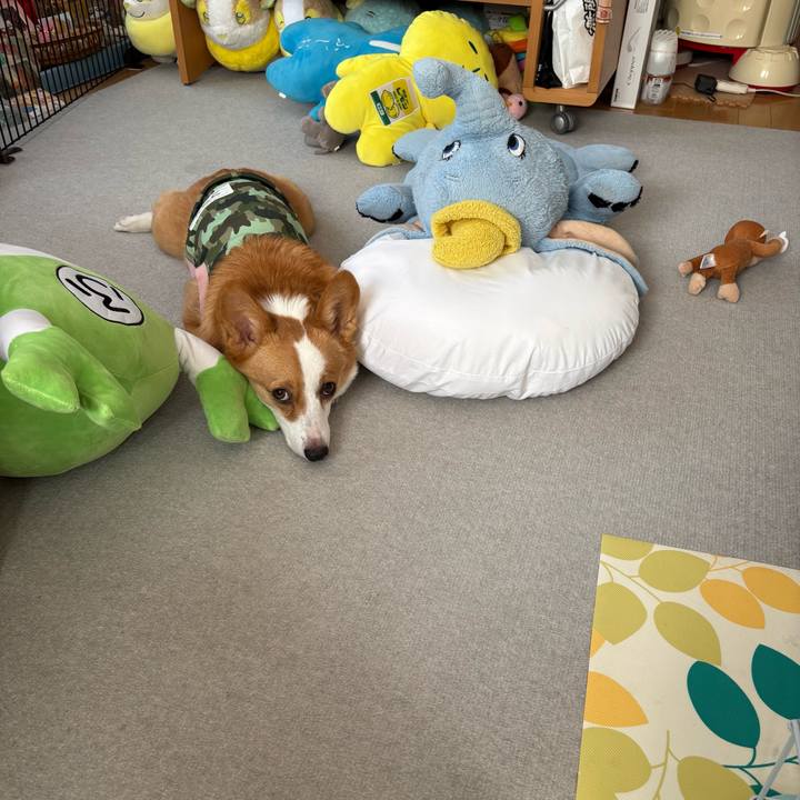 5ac015ce 545c 4402 810b ae84f79fe089 1771394591233