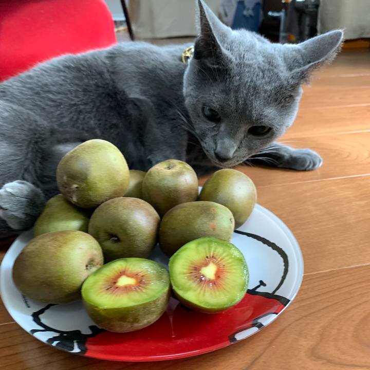 5ac04092 5157 4daa bb95 f44cf8658968 1632278212889