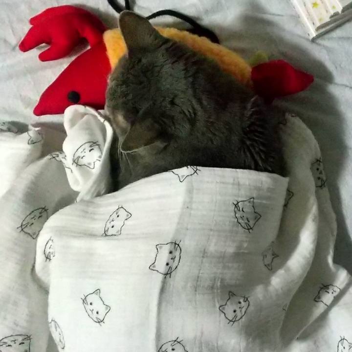 5ac04fc3 ea4e 4a46 a0b6 8ff9ddaf974b 1673822076915