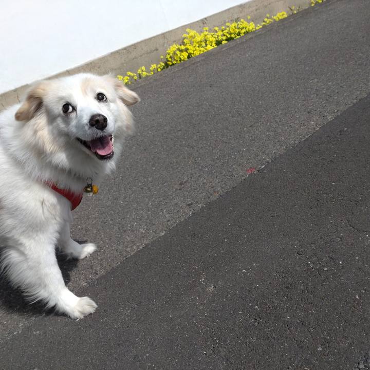 5ac08757 a13b 43a2 bc4c aa72c49faa95 1646451019744