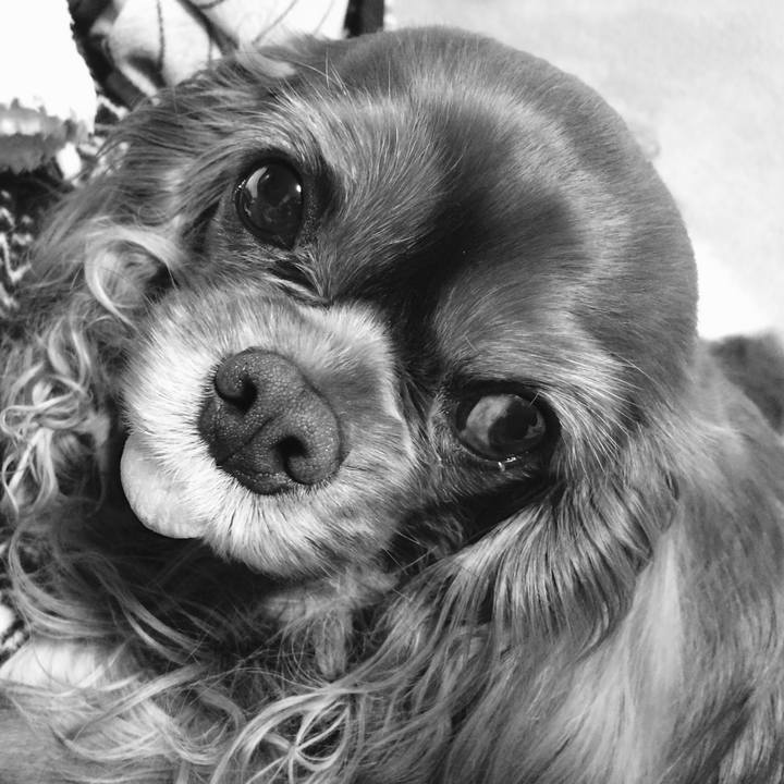 5ac0b627 11cb 4e72 a81c a90dc03cb4a1 1532471035978