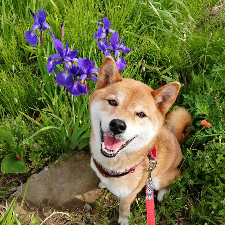 5ac0b967 6583 4b61 b615 f15cbf2e1a2b 1589095015807