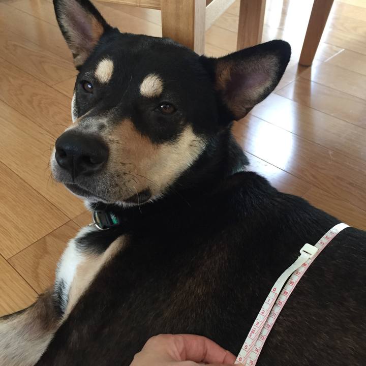 5ac0d58d eb98 4387 b5a0 92e6ff575f5d 1532225924933