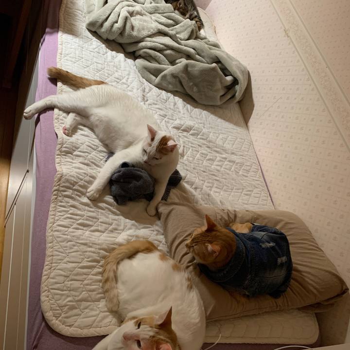 5ac1635d 56b8 4893 a1e9 8b0831b344a1 1648914537804