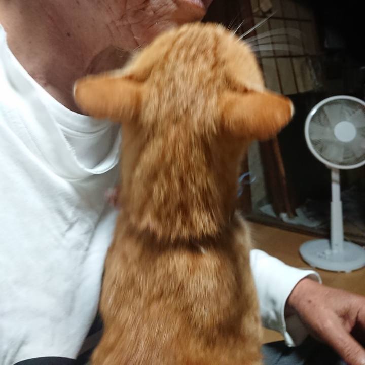 5ac2466f 8848 47a7 947d 0ab4b0e09d0f 1600199843415