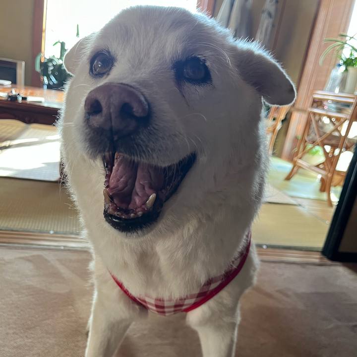 5ac25cee 9ad7 4b15 922d 21f7bcfc95fd 1762730597054