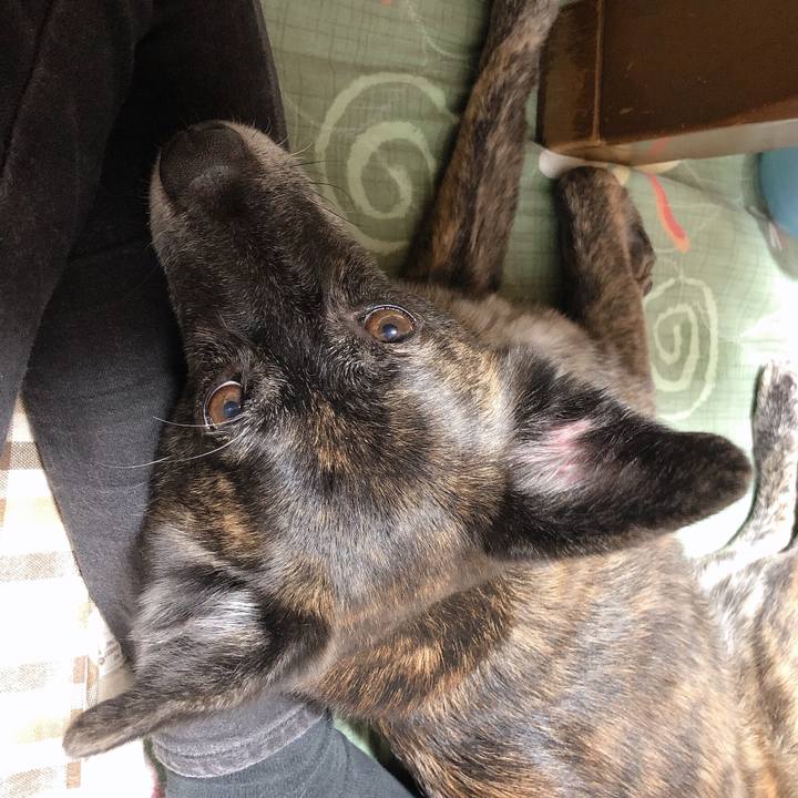 5ac29594 8342 471f a2dc 2a6275bbbd60 1569422655147