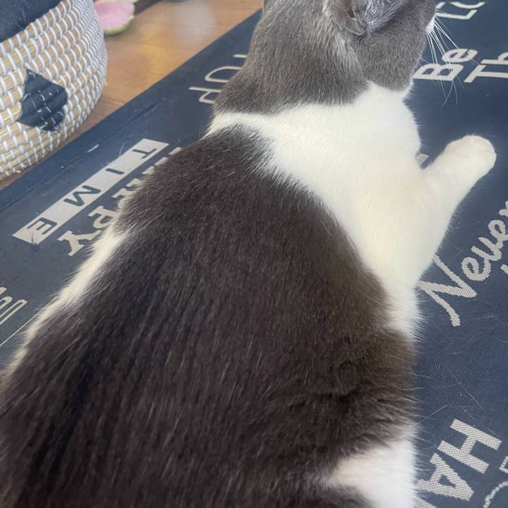 5ac2ae18 a211 496a 8bc1 10bb3357bf8b 1714870518801