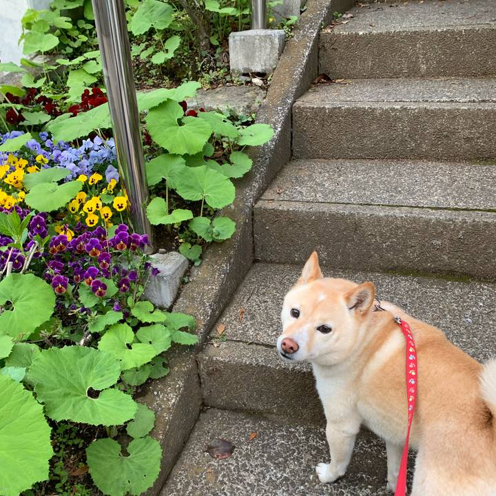 5ac2ea15 c97d 417e b011 354a9042dad6 1649198322085