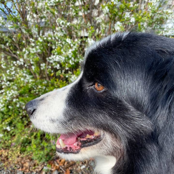 5ac2ef24 9b79 4f66 b5ae f0101e2014a4 1614906700742