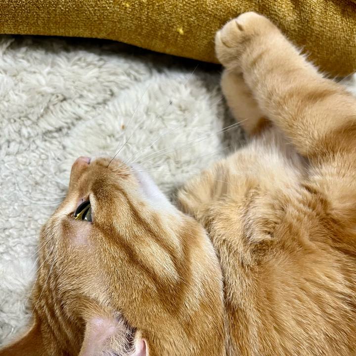 5ac3107a 754b 47db 83d9 9ccb31fc79fc 1663157508266