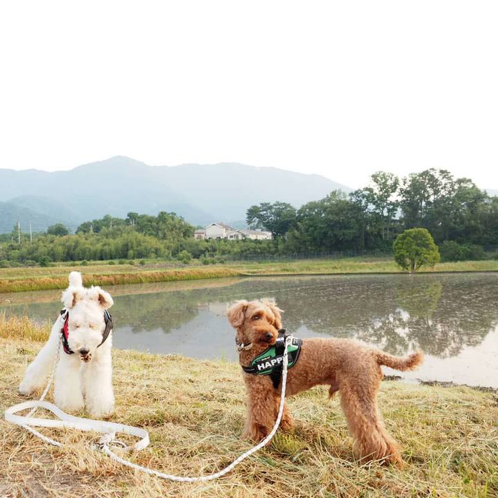 5ac33b79 63e5 4f9a bc6a 1ba10dfe6142 1558998097900