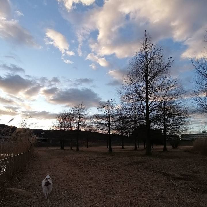 5ac35036 74f7 458f a231 c63eaf8452c3 1580169005748