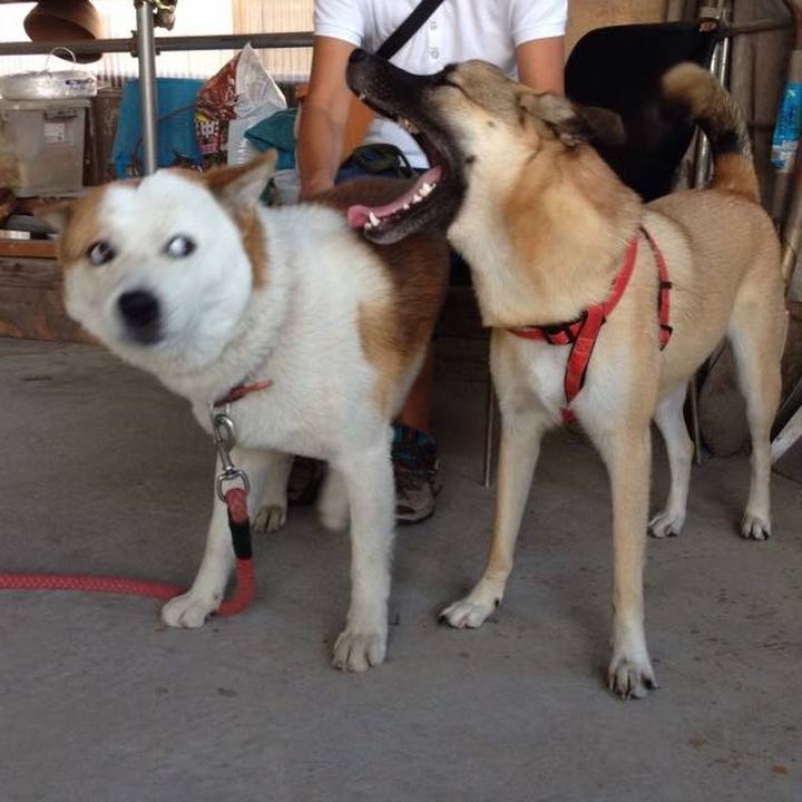 5ac3761d 02e5 48f8 af87 42b83ae00f52 1523793925458