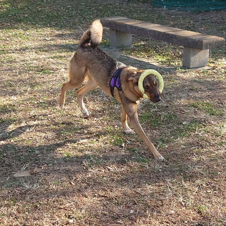 5ac38126 e079 4eb6 aa65 8af31dc6f93b 1702172748148